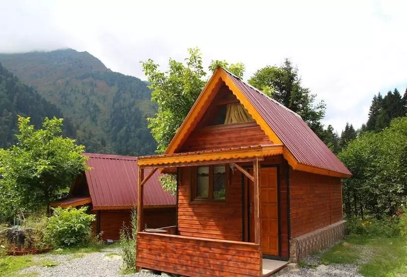 Ayder Selale Dag Evi