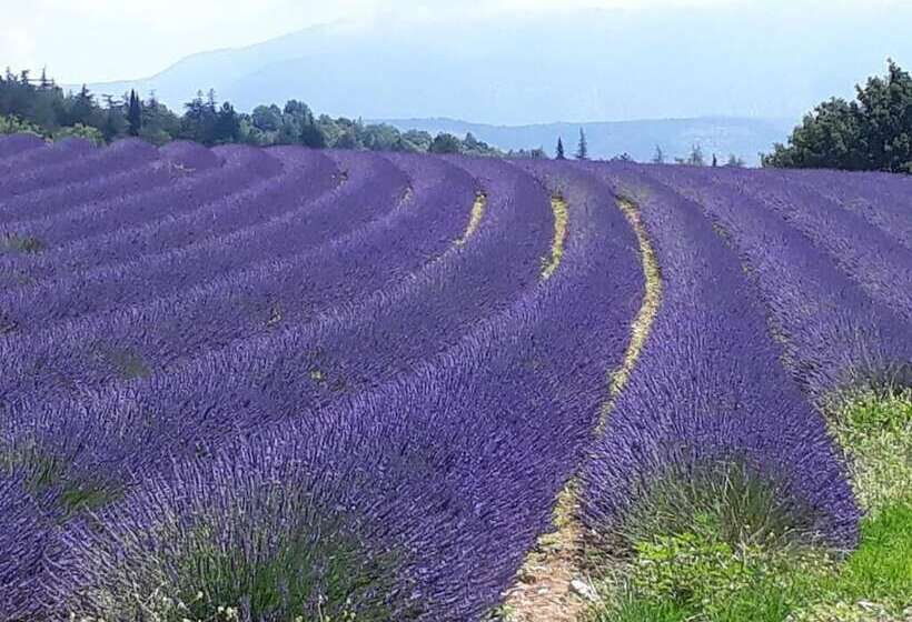 ベッドアンドブレックファースト Eden Roque