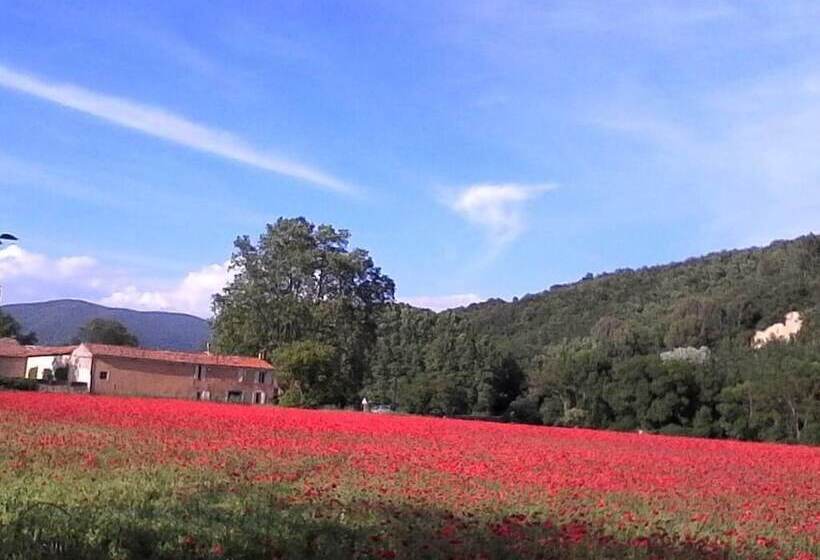 ベッドアンドブレックファースト Eden Roque