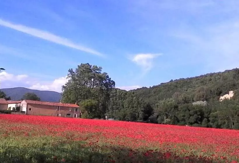 ベッドアンドブレックファースト Eden Roque