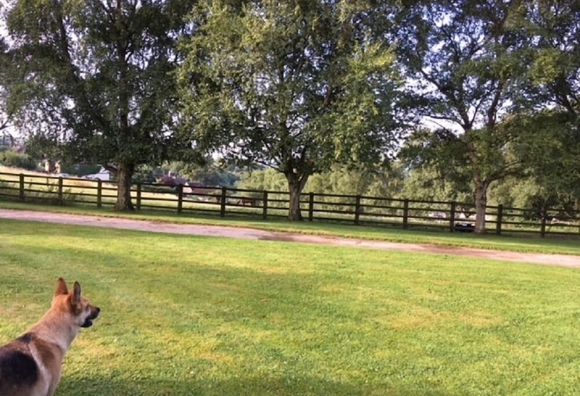 Grange Farm Bed & Breakfast