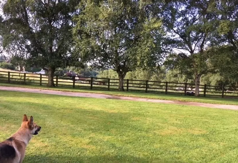 Grange Farm Bed & Breakfast
