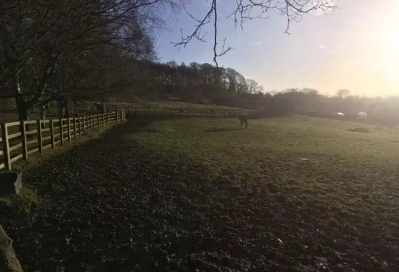 Grange Farm Bed & Breakfast
