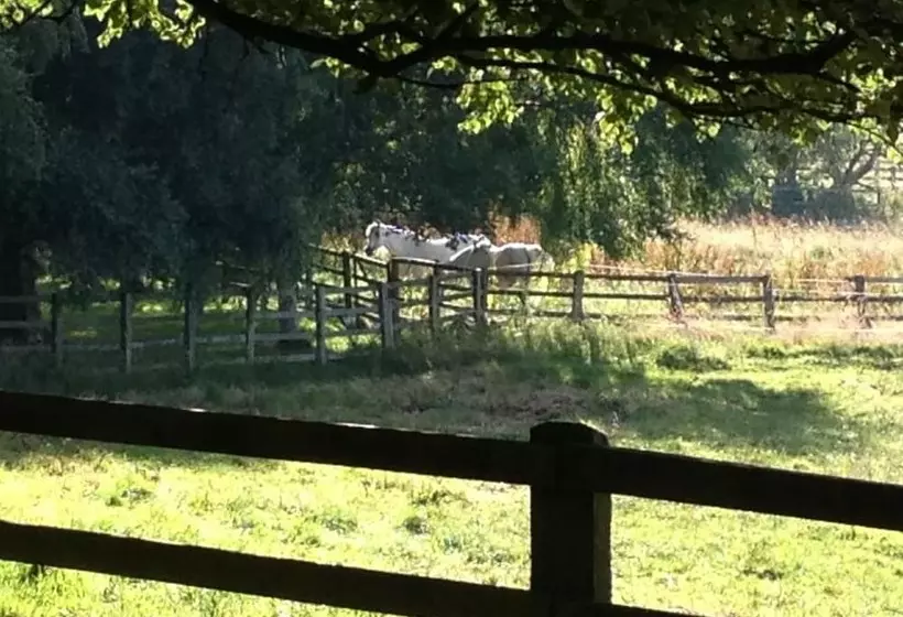 Grange Farm Bed & Breakfast