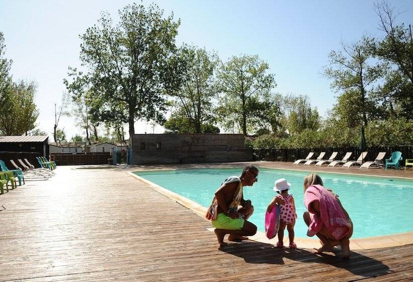 فندق Camping La Dune