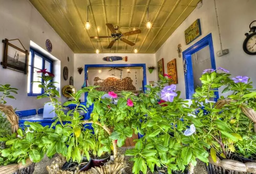 Cunda Mavi Otel   Adults Only