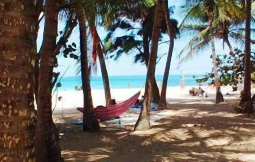 هتل Acacia Boutique