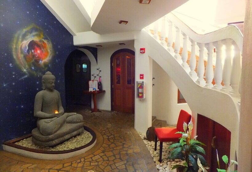 هتل Acacia Boutique