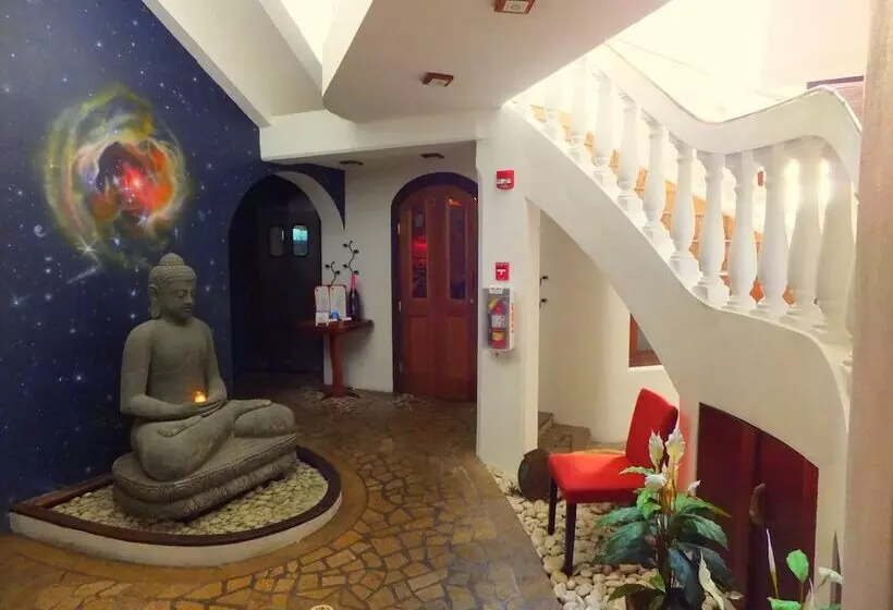 هتل Acacia Boutique