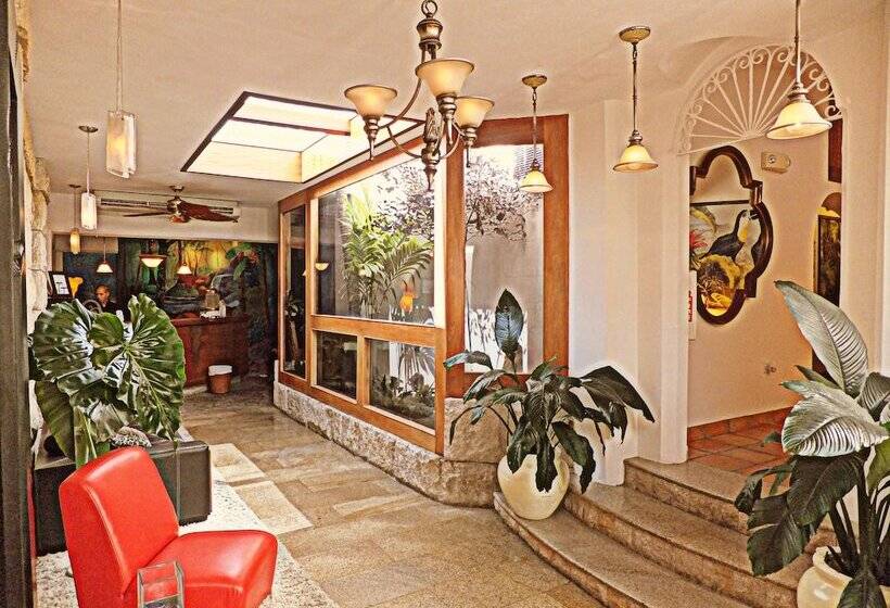 هتل Acacia Boutique