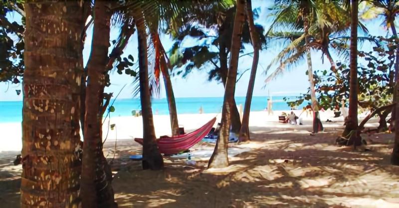 هتل Acacia Boutique