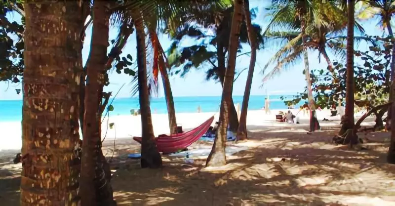 هتل Acacia Boutique