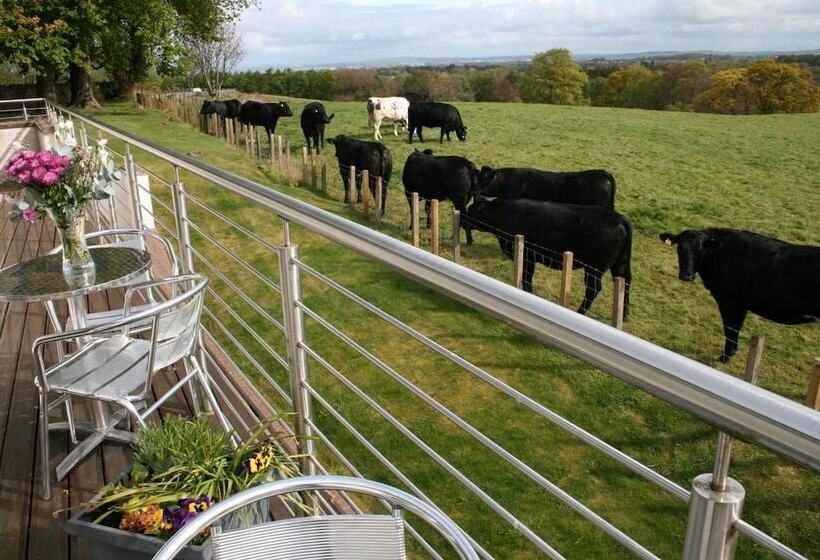 تختخواب و صبحانه Ayrs & Graces