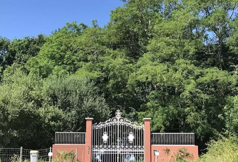 ベッドアンドブレックファースト Chambres D Hôtes Du Manoir De Blanche Roche