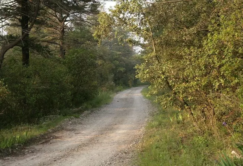 Domaine De Costescirgues