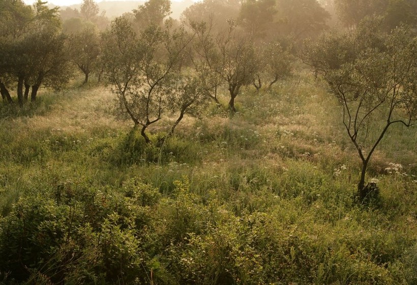 Domaine De Costescirgues