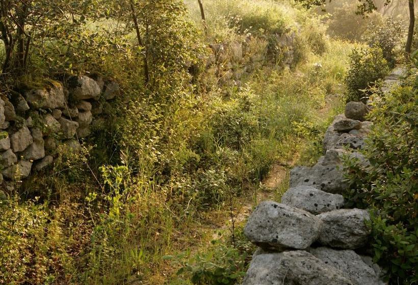 Domaine De Costescirgues