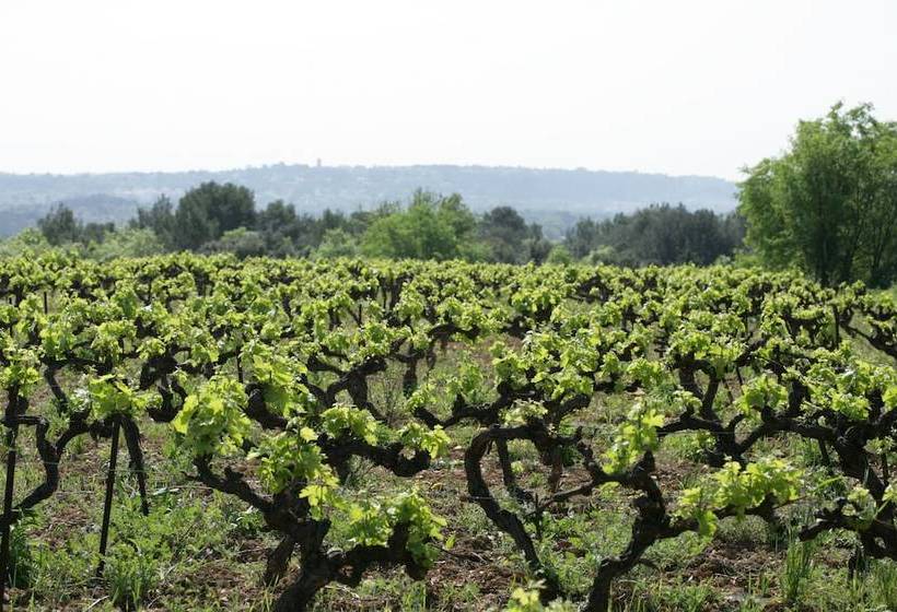 Domaine De Costescirgues