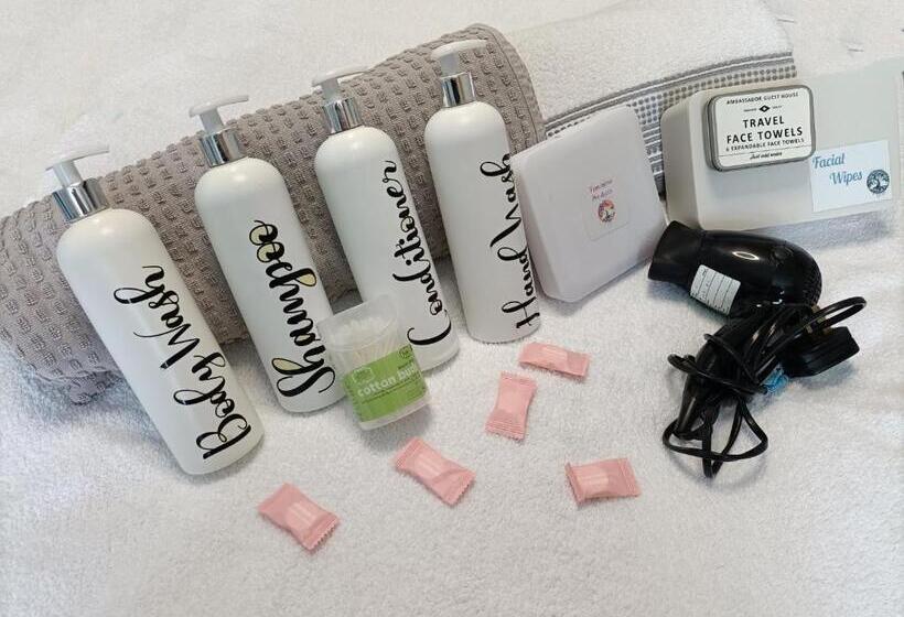 Pensione Ambassador Guest House Bed And Breakfast