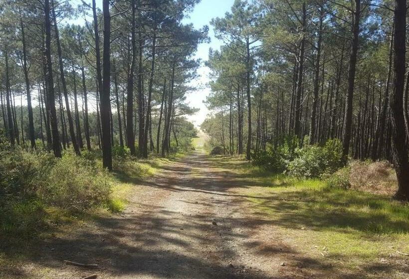 Пансион Hacienda Messanges