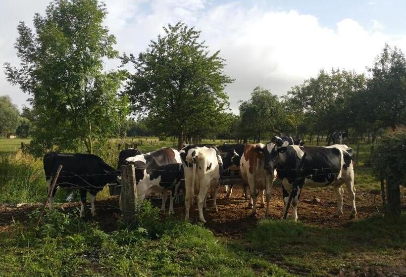 ペンション La Cense Pierrot Des Princes