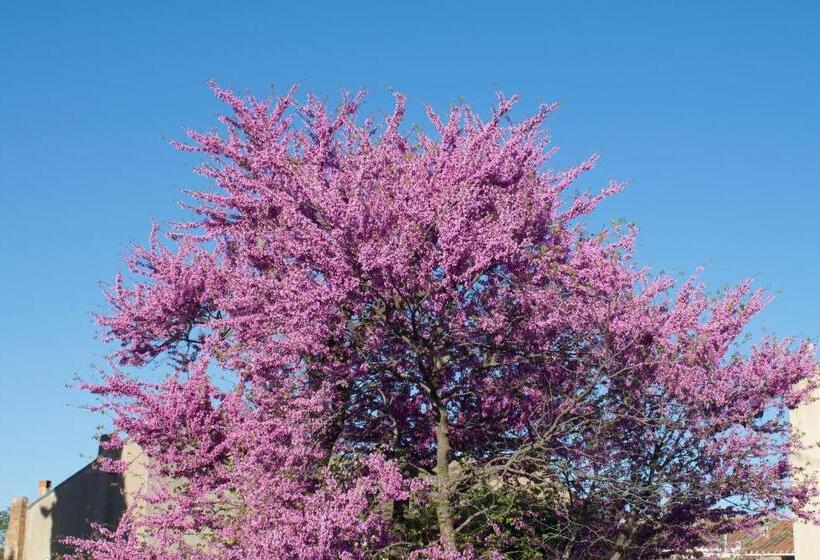 Bed and Breakfast Art Home Bnb