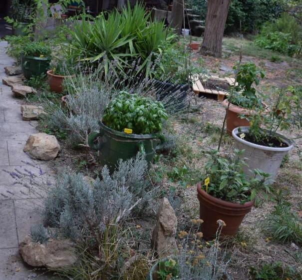 Bed and Breakfast Art Home Bnb