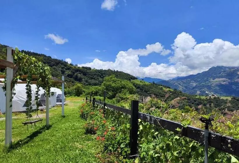 تختخواب و صبحانه Villa Relax