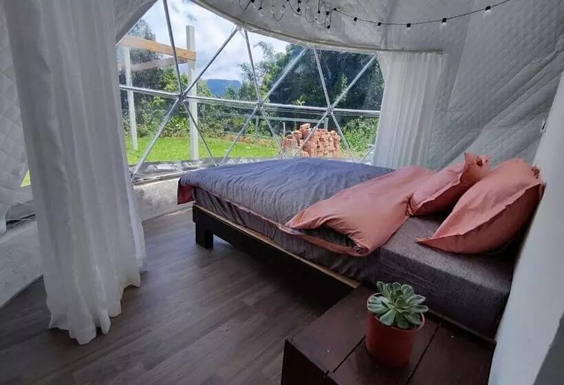 تختخواب و صبحانه Villa Relax