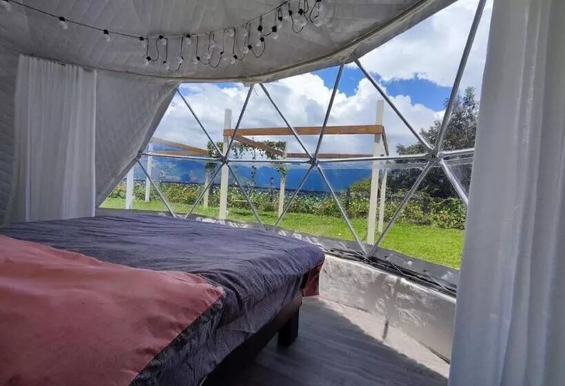 تختخواب و صبحانه Villa Relax
