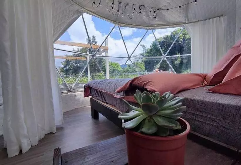 تختخواب و صبحانه Villa Relax