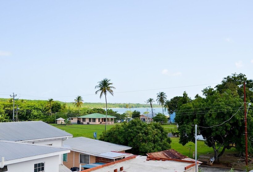 هتل Bellissimo Boutique