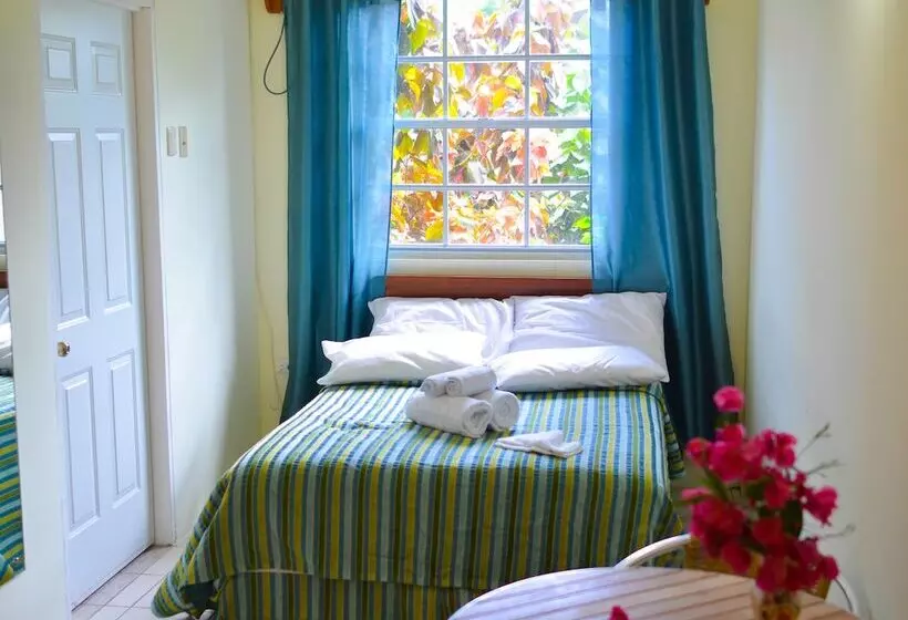 هتل Bellissimo Boutique