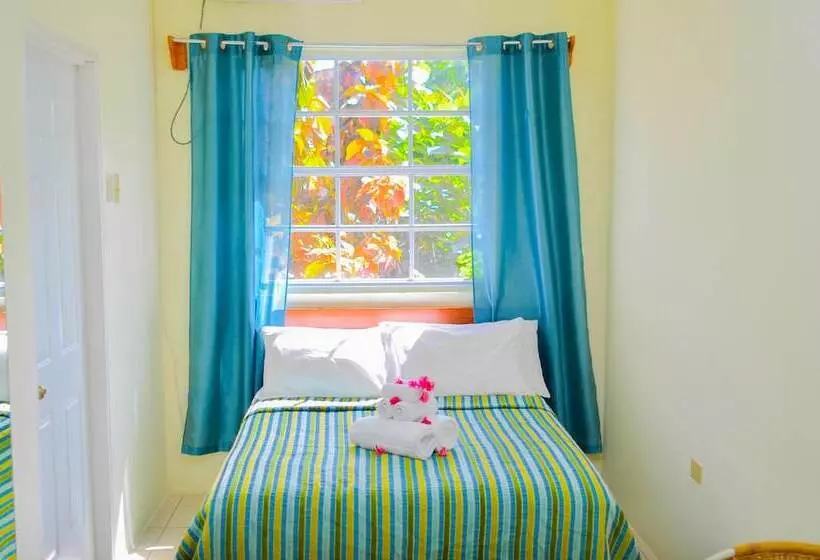 هتل Bellissimo Boutique