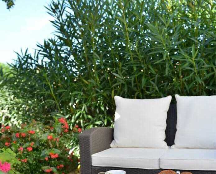 هتل Mas De La Grenouillère Hôtel Et Centre équestre En Pleine Nature