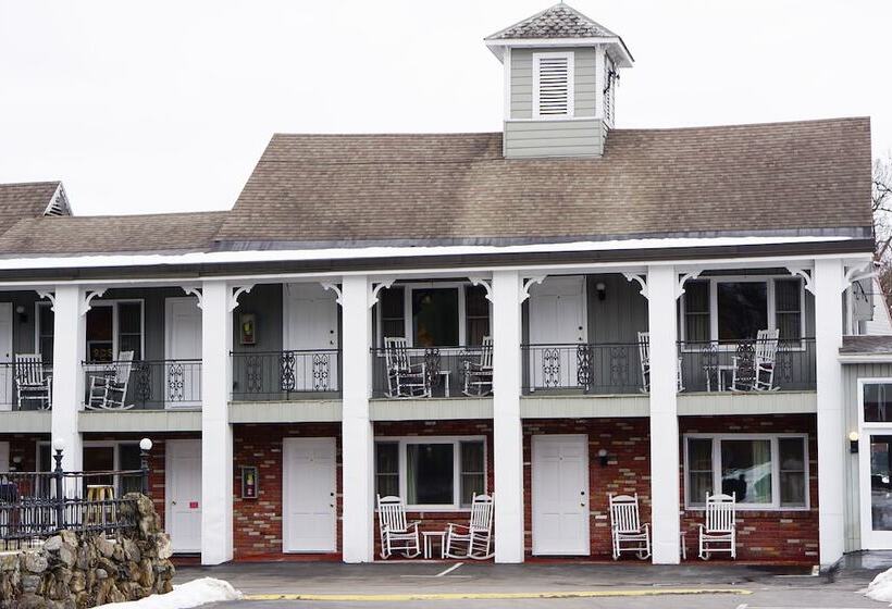 ホテル Stay Saratoga