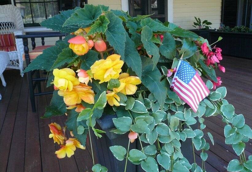 住宿加早餐  Yellow House Inn