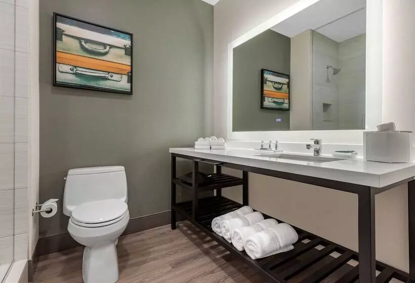 Cambria Hotel   Arundel Mills Bwi Airport