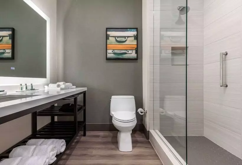 Cambria Hotel   Arundel Mills Bwi Airport