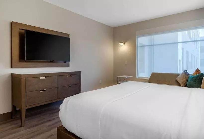 Cambria Hotel   Arundel Mills Bwi Airport
