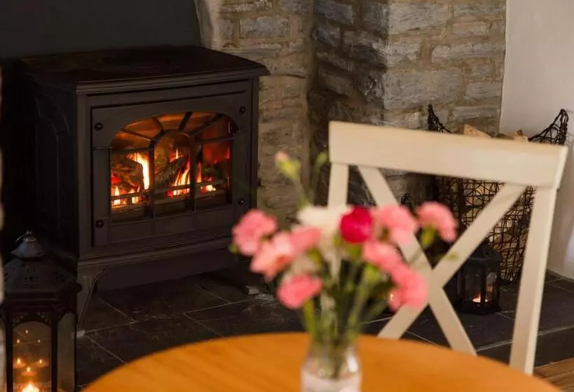 Hotelli Gwesty Seren