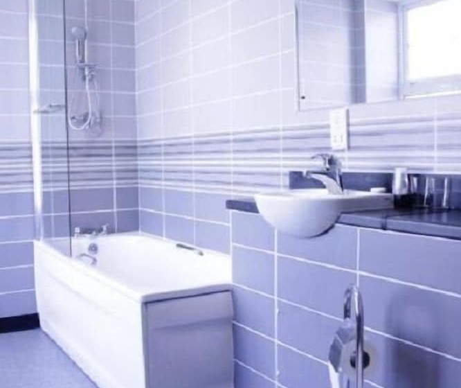 בית מלון כפרי Gwesty Seren