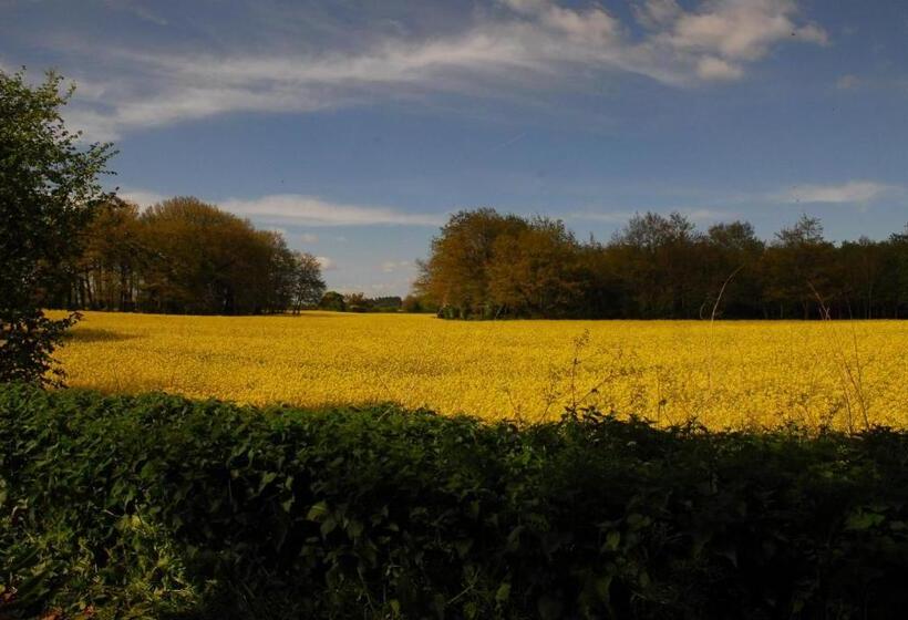 乡村酒店  Sindles Farm