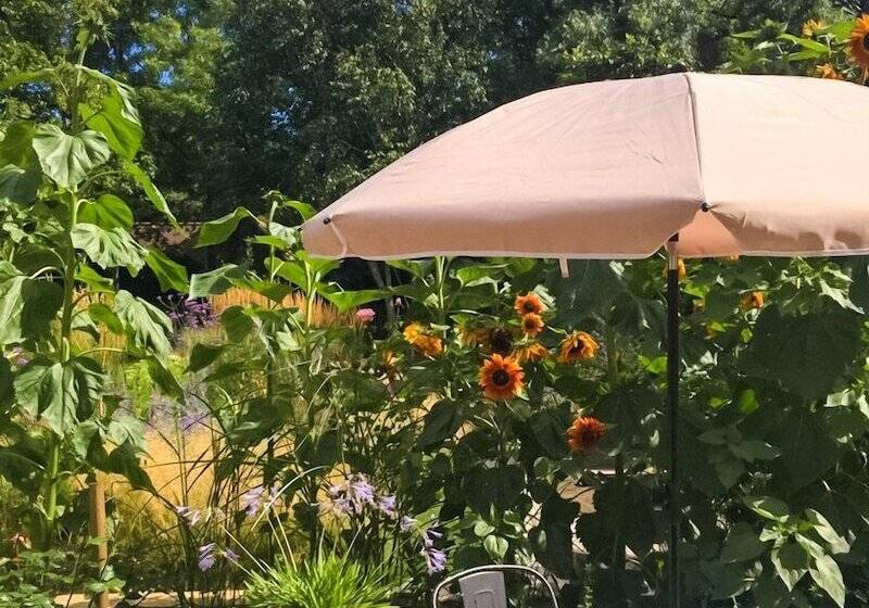 Hotel Temple Lodge Club