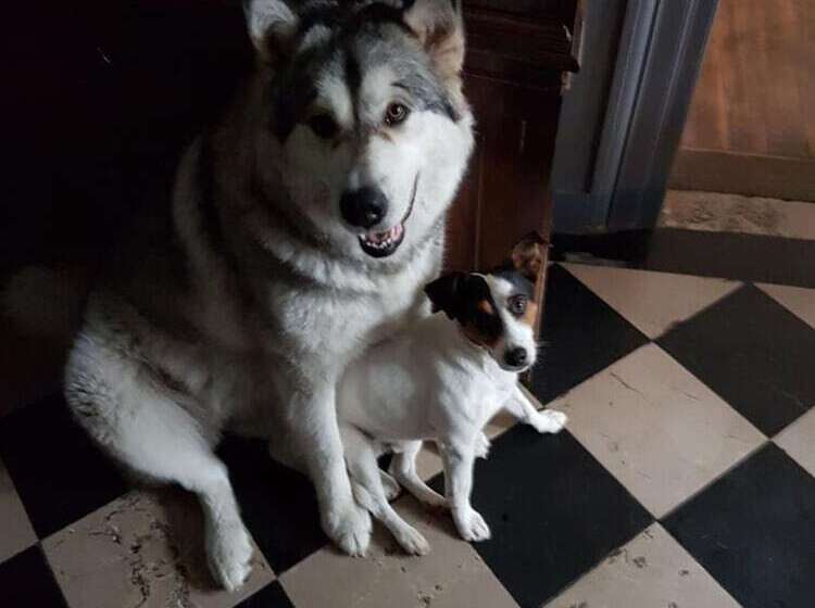 Pensionat Le Sophora