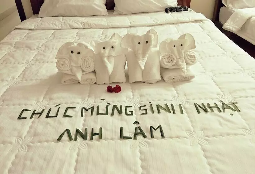 پانسیون Rabbit Motel