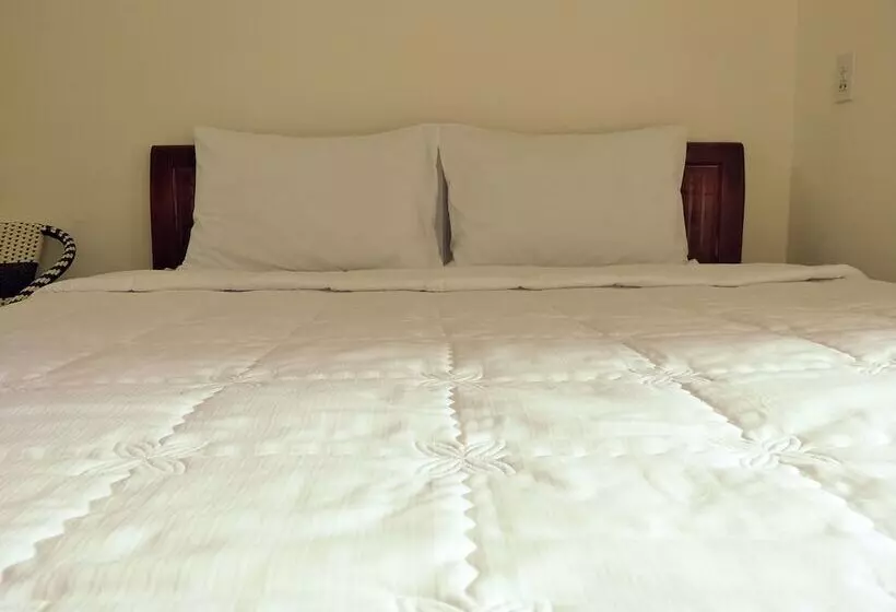 پانسیون Rabbit Motel