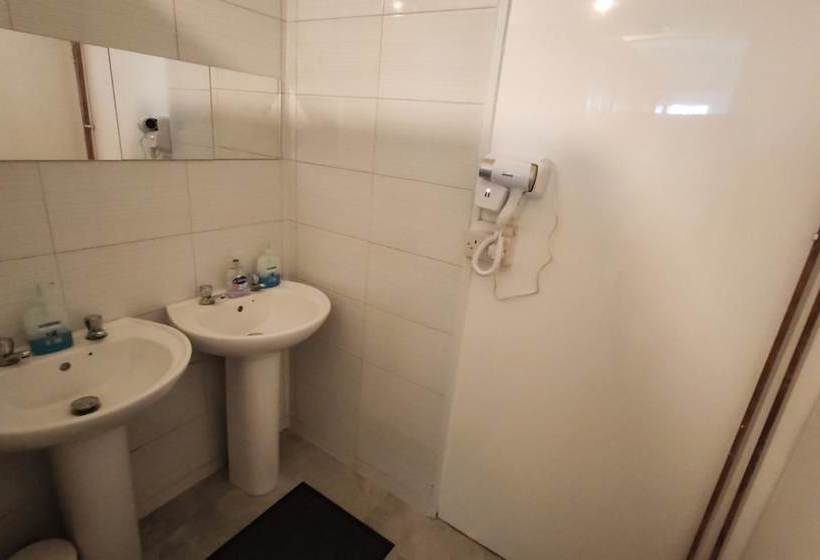 فندق صغير The George Backpackers