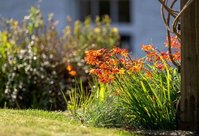 تختخواب و صبحانه Craigmount