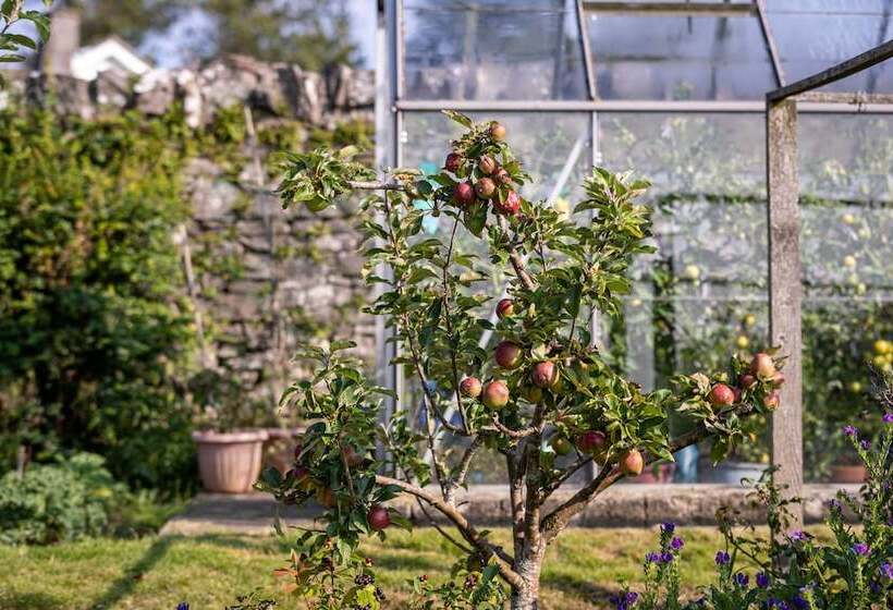 تختخواب و صبحانه Craigmount